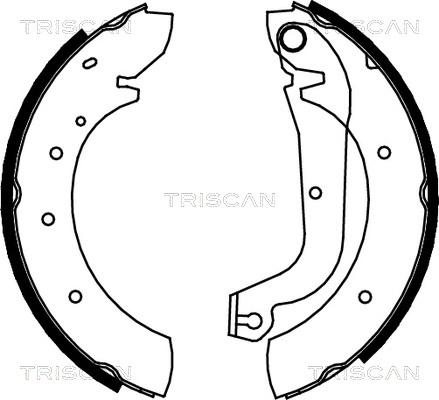 Triscan 8100 15480 - Bremžu loku komplekts autospares.lv