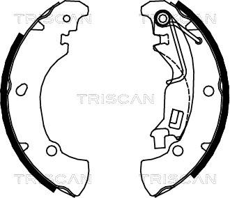 Triscan 8100 15017 - Bremžu loku komplekts autospares.lv