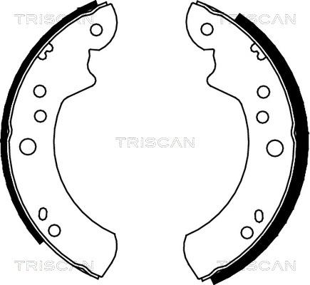 Triscan 8100 16446 - Bremžu loku komplekts autospares.lv