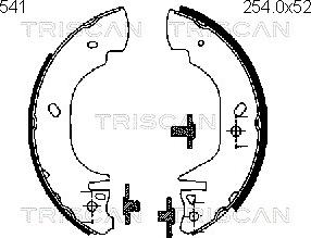 Triscan 8100 16541 - Bremžu loku komplekts autospares.lv