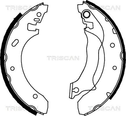 Triscan 8100 16559 - Bremžu loku komplekts autospares.lv