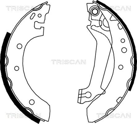 Triscan 8100 16587 - Bremžu loku komplekts www.autospares.lv