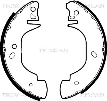 Triscan 8100 16570 - Bremžu loku komplekts autospares.lv