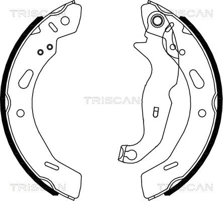 Triscan 8100 16013 - Bremžu loku komplekts www.autospares.lv