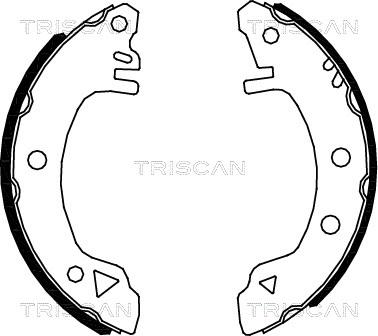 Triscan 8100 16375 - Bremžu loku komplekts www.autospares.lv