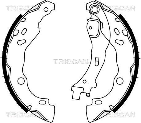 Triscan 8100 10009 - Bremžu loku komplekts autospares.lv