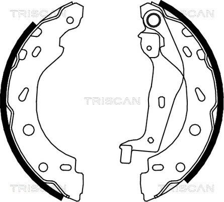 Triscan 8100 10005 - Комплект тормозных колодок, барабанные www.autospares.lv