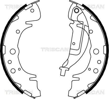 Triscan 8100 10019 - Bremžu loku komplekts www.autospares.lv