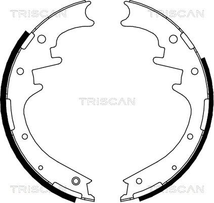 Triscan 8100 10016 - Bremžu loku komplekts autospares.lv