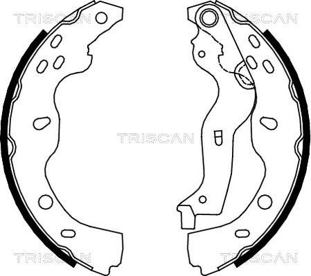 Triscan 8100 10013 - Bremžu loku komplekts www.autospares.lv