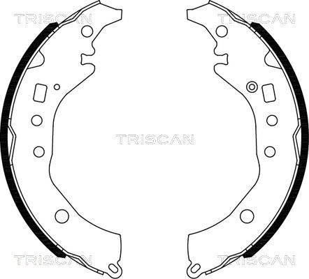 Triscan 8100 10039 - Bremžu loku komplekts www.autospares.lv