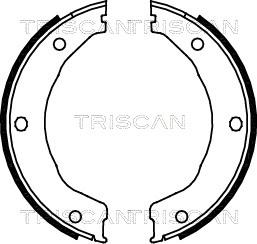 Triscan 8100 10030 - Bremžu loku kompl., Stāvbremze autospares.lv