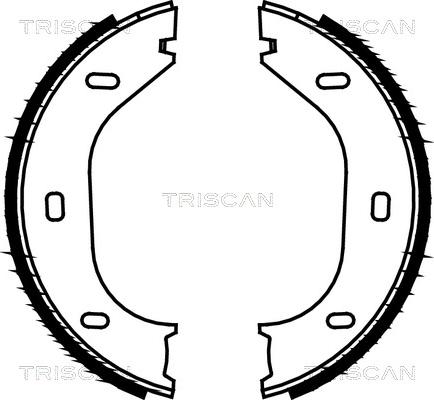 Triscan 8100 10290 - Bremžu loku kompl., Stāvbremze autospares.lv