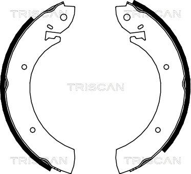 Triscan 8100 10272 - Bremžu loku komplekts autospares.lv