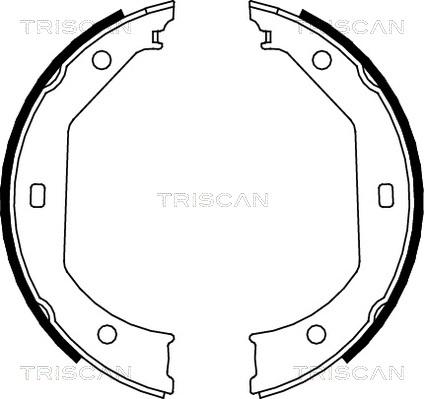 Triscan 8100 11638 - Bremžu loku komplekts autospares.lv