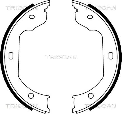 Triscan 8100 11012 - Bremžu loku komplekts www.autospares.lv