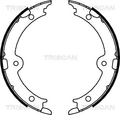 Triscan 8100 13045 - Bremžu loku kompl., Stāvbremze autospares.lv