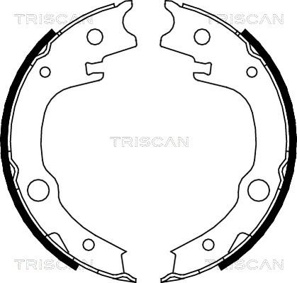 Triscan 8100 13039 - Brake Shoe Set, parking brake www.autospares.lv