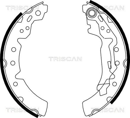 Triscan 8100 13031 - Bremžu loku komplekts www.autospares.lv