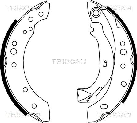 Triscan 8100 38001 - Brake Shoe Set www.autospares.lv