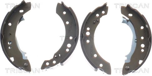 Triscan 8100 38001 - Brake Shoe Set www.autospares.lv