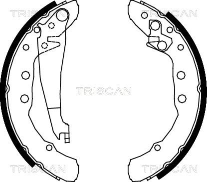 Triscan 8100 29530 - Bremžu loku komplekts autospares.lv