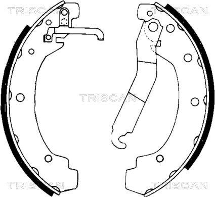 Triscan 8100 29004 - Bremžu loku komplekts www.autospares.lv