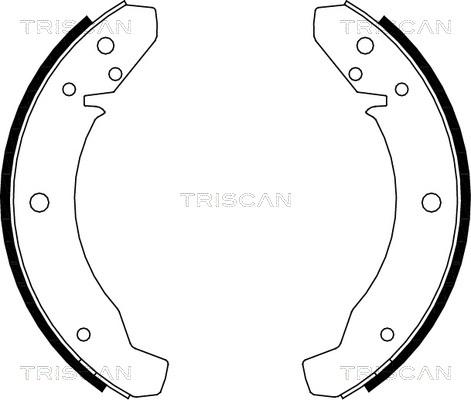 Triscan 8100 29105 - Bremžu loku komplekts www.autospares.lv