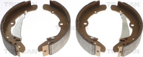 Triscan 8100 29343 - Brake Shoe Set www.autospares.lv