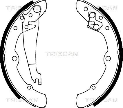 Triscan 8100 29343 - Bremžu loku komplekts autospares.lv