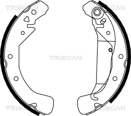 Triscan 8100 24589 - Brake Shoe Set www.autospares.lv