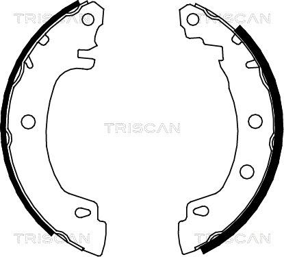 Triscan 8100 25581 - Bremžu loku komplekts www.autospares.lv