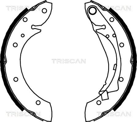 Triscan 8100 28598 - Brake Shoe Set www.autospares.lv