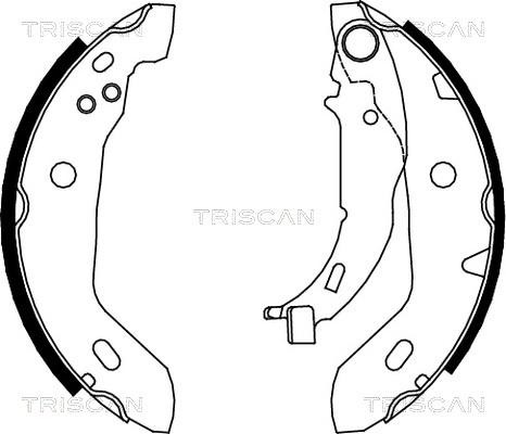 Triscan 8100 23122 - Bremžu loku komplekts www.autospares.lv