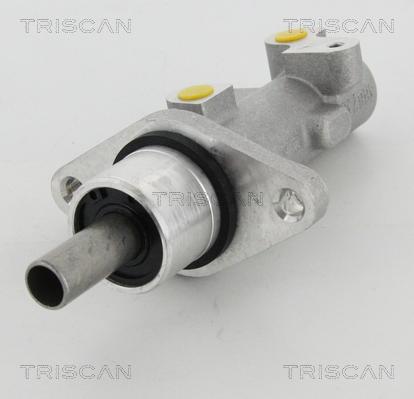 Triscan 8130 29163 - Brake Master Cylinder www.autospares.lv