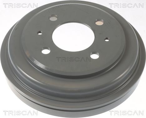 Triscan 8120 43216C - Bremžu trumulis www.autospares.lv