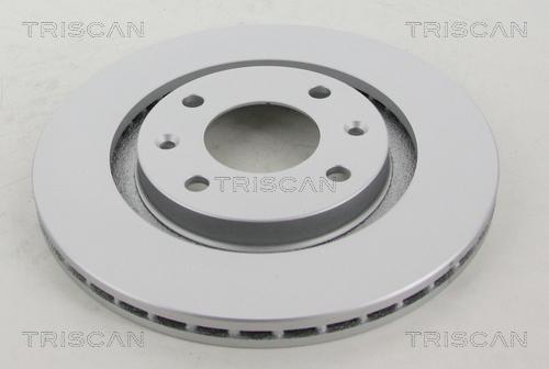 Triscan 8120 10113C - Тормозной диск www.autospares.lv