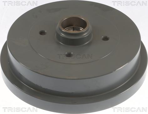 Triscan 8120 29224C - Bremžu trumulis www.autospares.lv