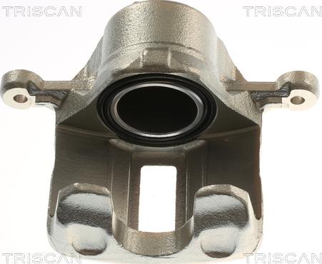 Triscan 8175 43119 - Bremžu suports www.autospares.lv