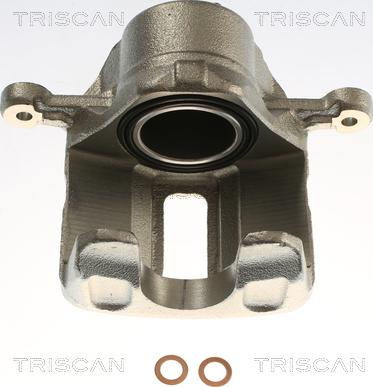 Triscan 8175 43120 - Bremžu suports www.autospares.lv