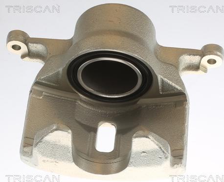 Triscan 8175 14101 - Bremžu suports www.autospares.lv