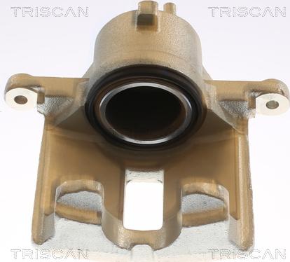 Triscan 8175 14117 - Bremžu suports www.autospares.lv