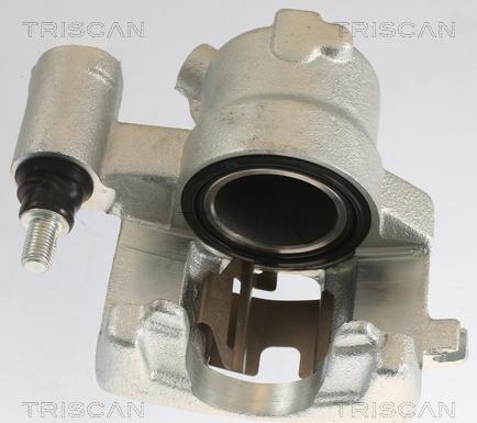 Triscan 8175 15101 - Bremžu suports www.autospares.lv