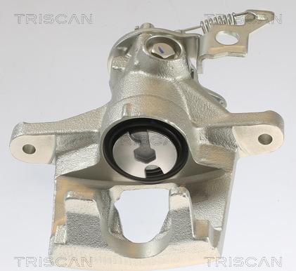 Triscan 8175 16101 - Bremžu suports www.autospares.lv