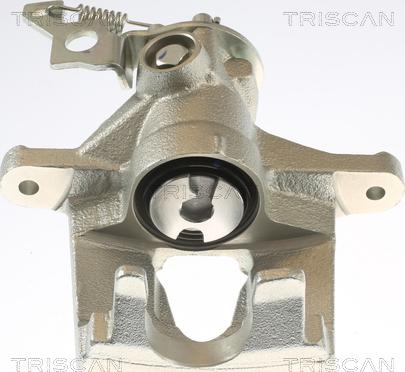 Triscan 8175 16102 - Bremžu suports www.autospares.lv