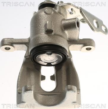 Triscan 8175 16215 - Bremžu suports www.autospares.lv