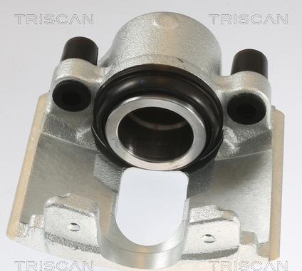 Triscan 8175 10105 - Bremžu suports www.autospares.lv