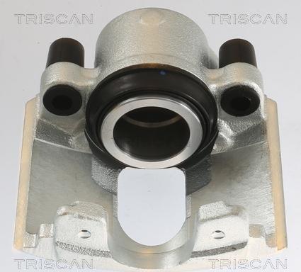 Triscan 8175 10106 - Bremžu suports www.autospares.lv