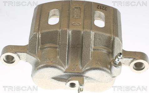 Triscan 8175 10102 - Bremžu suports www.autospares.lv