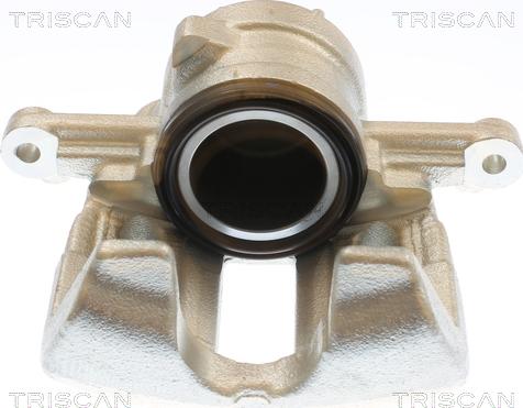 Triscan 8175 10133 - Bremžu suports www.autospares.lv